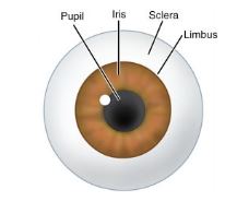 insuficiencia limbica